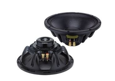 Subwoofer Speaker Driver