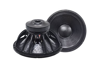 18TBW100 Professional Speaker