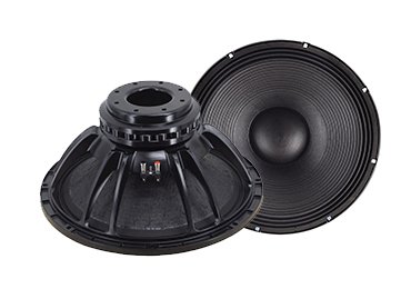 2153ND 21 Inch Subwoofer