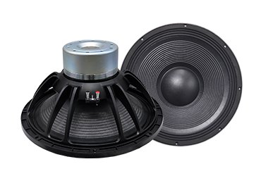 21SW153 21 Inch Subwoofer