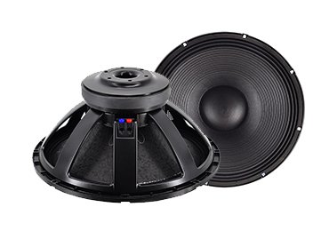 21X451 21 Inch Subwoofer