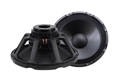 2453ND 24 Inch Speaker