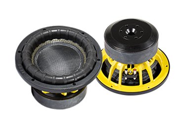 SW0817 8 Inch Subwoofer