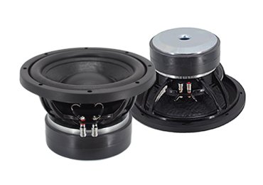 SW1066 10 Inch Subwoofer