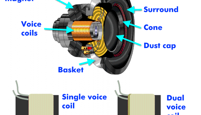 dual voice coil speaker