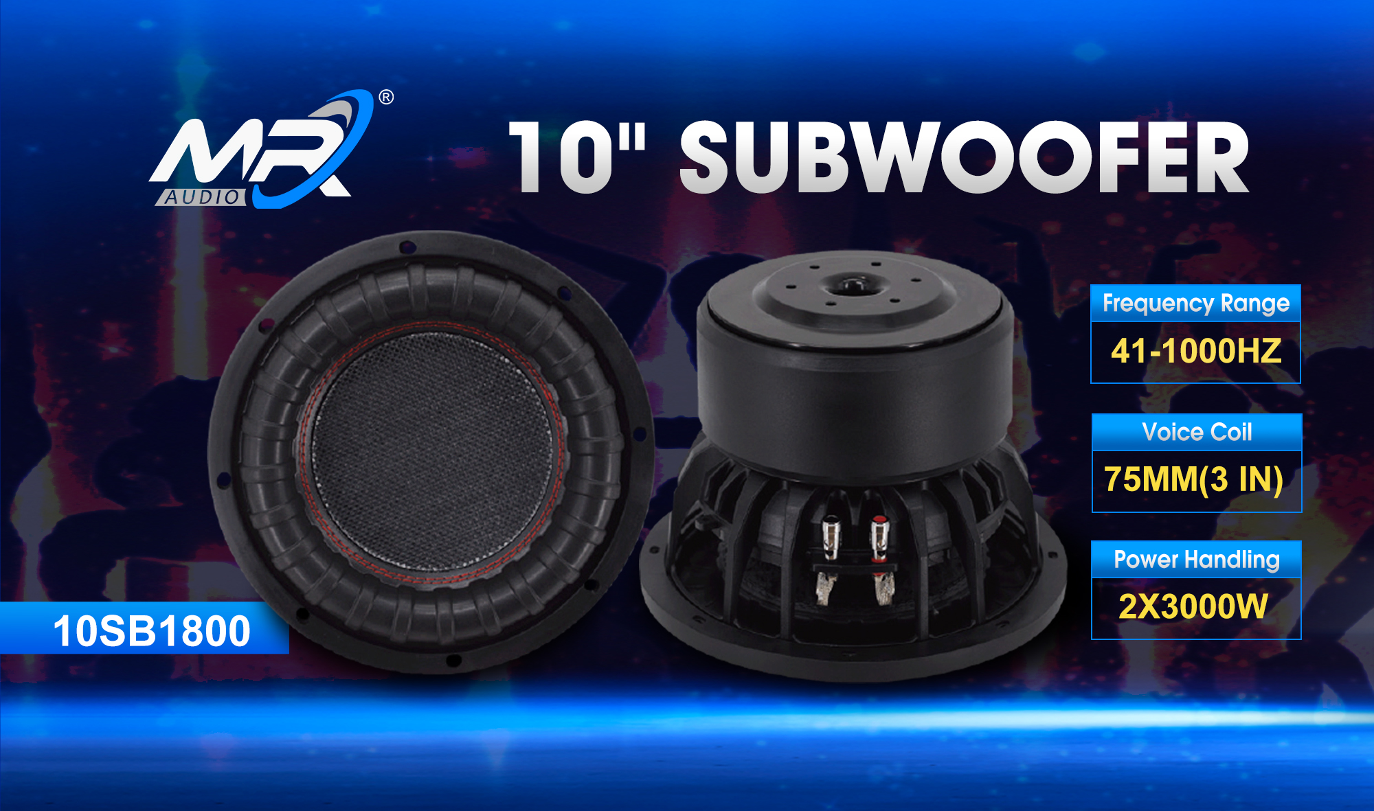 10 inch subwoofer