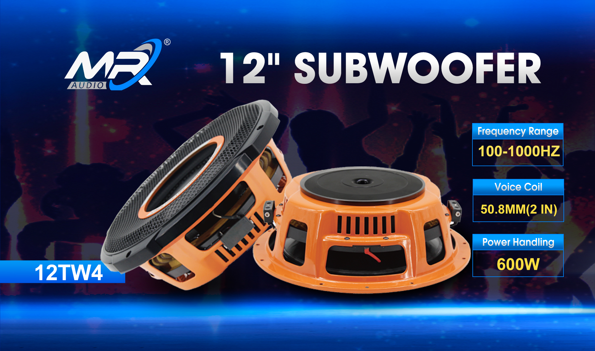 12 inch subwoofer