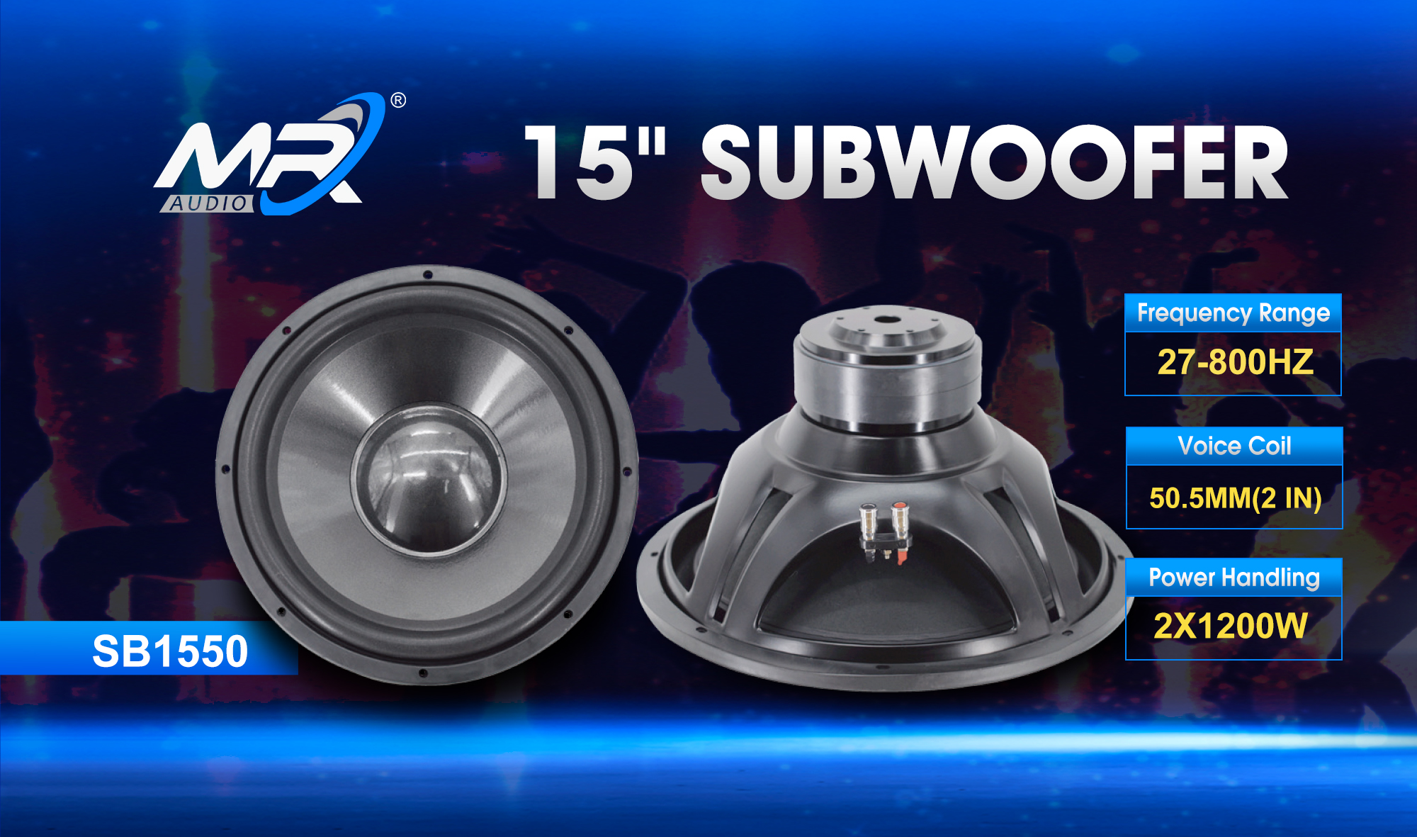 15 inch subwoofer