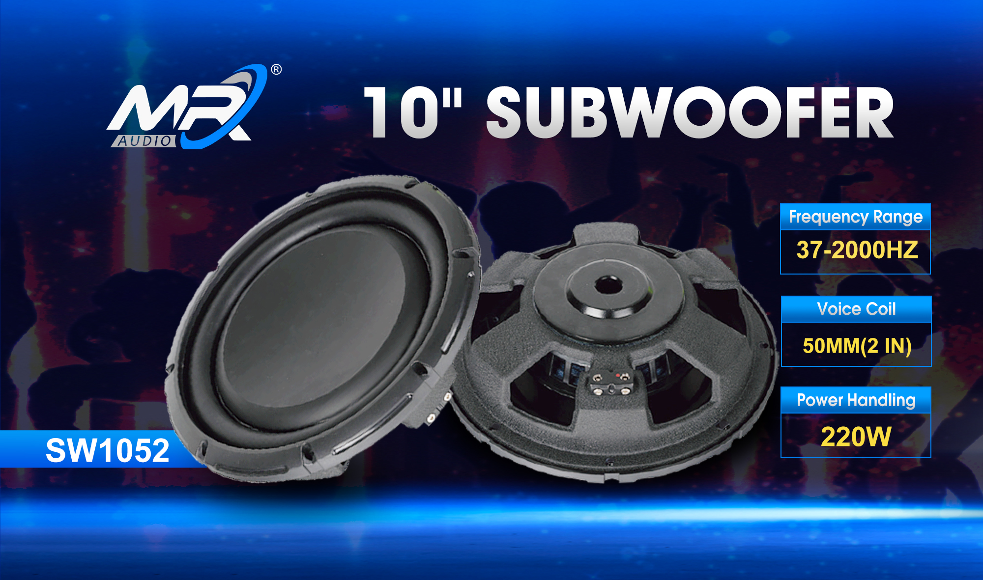 10 inch subwoofer