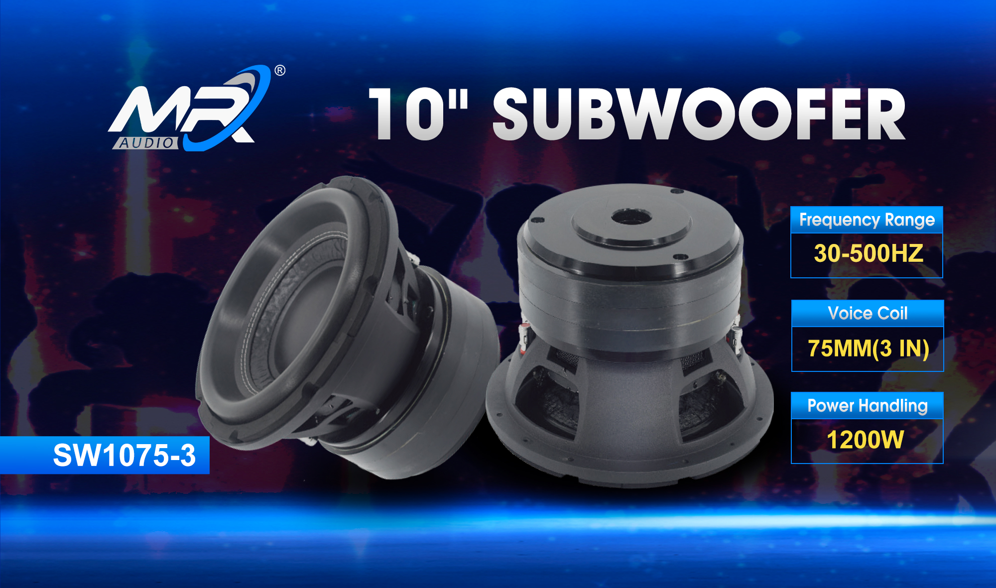 10 inch subwoofer
