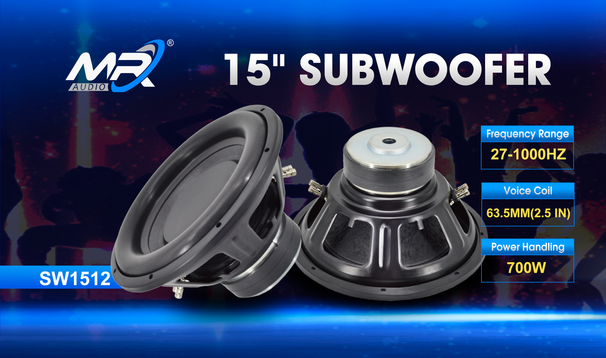 15 inch subwoofer